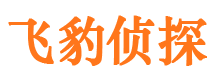 右江市侦探公司